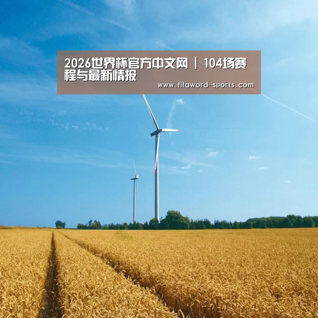 风能