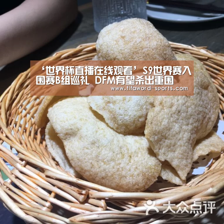‘世界杯直播在线观看’S9世界赛入围赛B组巡礼 DFM有望杀出重围(图1) 世界杯直播在线观看